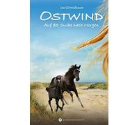 Lea Schmidbauer Ostwind - Auf der Suche nach Morgen (Hardback)