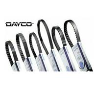 Toothed Belt Dayco Fits Ducati Multistrada 1260 2018-2021