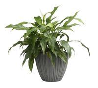 (Lead, Medium - W30cm x H32cm) Round Flower Pot Outdoor Indoor Ridged Planter Pot Textured Decorative Modern