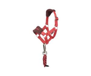 Lead rope and halter for stuffed animals LeMieux Toy Pony