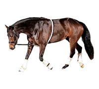 Lead Rope HorseGuard Soft Aid