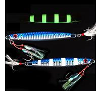 Lead Vertical Jigs Saltwater Artificial Bait,Speed Jigging Slow Jigging Pitching Lures,JoyFishing Glow Lead Jigs 60g/100g/150g Fishing Lures for Tuna,Grouper,Dogtooth,Bass,Salmon (60g, Blue)