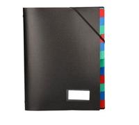 Leading Folder PP DIN A4 Black -12 compartments