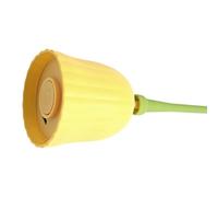 LEADSDGE Rechargeable Automatic Cats Toy Two Playing Models for Auto Entertainment and Human Interaction with USB Charging Rose Cats Toy