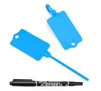 LeadSeals 100pcs Blank Plastic Tags for Labeling Reusable Hanging Tags Ties Key Tags Storage Tags Waterproof Plastic Mark Label Writable Hang Sign (Blue)
