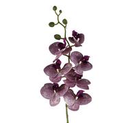 Leaf 100Cm Artificial Phalaenopsis Orchid Purple Stem