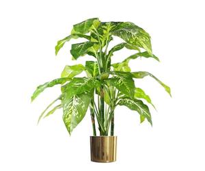 Leaf 100cm Large Fox's Aglaonema (Spotted Evergreen) Tree Artificial Plant, Green with Gold Planter (V7013)