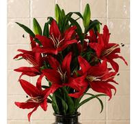 Leaf 100cm Pack of 6 x Artificial Large Red Lily Stem 18 Flowers Leaf Red