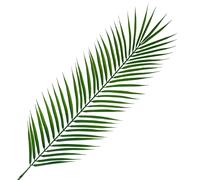Leaf 100cm Realistic Artificial Palm in Green Leaf Green