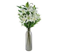 Leaf 100cm White Lily and Fern Display Glass Vase Leaf White One Size