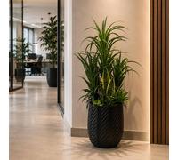 Leaf 100cm Yukka Display in Pot Artificial Premium in Green Leaf Green