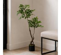 Leaf 110cm Artificial Toona Sinensis Tree Evergreen Premium in Green Leaf Green