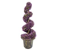 Leaf 120cm Purple Large Spiral with Decorative Planter Leaf Purple