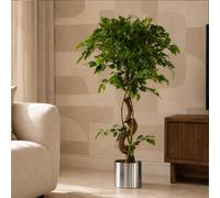 Leaf 120cm Twisted Trunk Artificial Fruticosa Ficus Tree Silver Planter in Green Leaf Green
