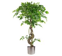 Leaf 120cm Twisted Trunk Artificial Ruscus Fruticosa Style Ficus Tree in Green Leaf Green