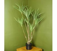 Leaf 125cm Dragon Plant Dracaena Tree Artificial Natural Look - 125cm - Green - 125cm