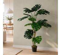 Leaf 150Cm (5Ft) Luxury Monstera Plant Black Pot