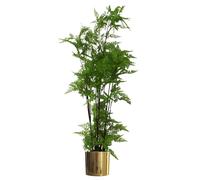 Leaf 150cm Artificial Natural Moss Base Fern Foliage Plant with Gold Metal Planter - 150cm - Gold/Green - 150cm