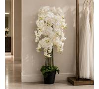 Leaf 150Cm Giant White Orchid Plant Artificial 189 Flowers Real Touch