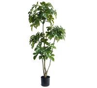 Leaf 150cm Radermachera Realistic Artificial Tree in Green Leaf Green