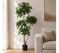 Leaf 150Cm Radermachera Realistic Artificial Tree Premium