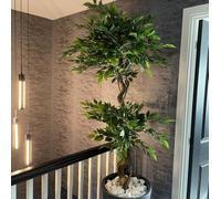 Leaf 150Cm Twisted Trunk Artificial Japanese Fruticosa Style Ficus Tree