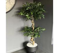 Leaf Artificial Japanese Twisted Ficus Fruticosa Tree Pot 150cm - Size: 150 x 60 x 60cm - Green - Wilko