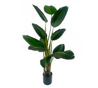 Leaf 150cm UV Resistant Traveller Banana Palm Tree - 150cm - Green - 150cm