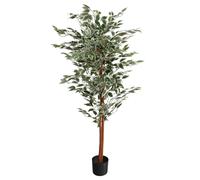 Leaf 160cm Artificial Ficus with Natural Variegated Leaves - 160cm - 160cm - Green