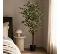 Leaf 160Cm Artificial Ficus With Natural Variegated Leaves Premium