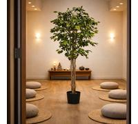 Leaf 180Cm Artificial Fire Retardant Deluxe Retusa Ficus Tree Premium