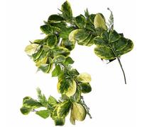 Leaf 180Cm Artificial Garland Trailing Hanging Golden Ficus Plant Realistic