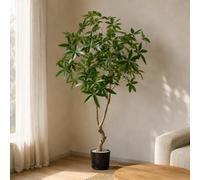 Leaf 180Cm Artificial Money Tree Pachira Realistic Faux Tree Premium