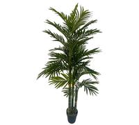 Leaf 180cm Artificial Tropical Palm Tree - 180cm - Green - 180cm