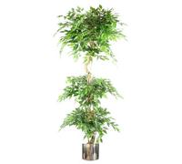 Leaf 180Cm Artificial Twisted Ficus Tree Ball Topiary Silver Planter