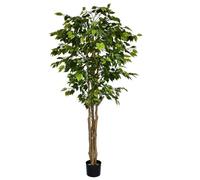 Leaf 180cm Fire Retardant Deluxe Retusa Ficus Tree With 1134 Leaves in Green Leaf Green