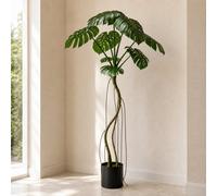 Leaf 180Cm Monstera Realistic Artificial Tree Green Premium