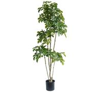 Leaf 180cm Radermachera Realistic Artificial Tree in Green Leaf Green