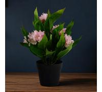 Leaf 18Cm Artificial Freesia Plant Light Pink Flowering Premium