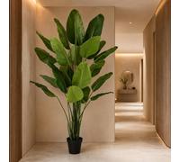Leaf 200cm Traveller Palm Artificial Tree Realistic Premium in Green Leaf Green