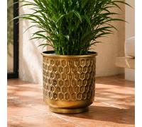 Leaf 20cm Gold Honeycomb Planter Premium Leaf Gold
