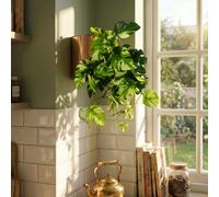 Leaf 25Cm Artificial Trailing Variegated Monstera Vine Plant Premium