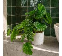 Leaf 30Cm Artificial Green Potted Monstera Trailing Plant Premium