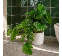 Leaf 30cm Artificial Green Potted Monstera Trailing Plant Premium Leaf Green