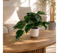 Leaf 30Cm Artificial Mini Pothos In Decorative White Pot Premium
