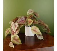 Leaf 30Cm Artificial Pink Caladium Potted Trailing Plant Realistic