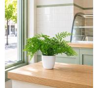 Leaf 30cm Artificial Potted Royal Fern in Green Leaf Green