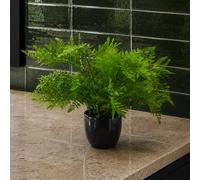 Leaf 30cm Artificial Potted Southern Wood Fern Black Pot Premium in Green Leaf Green