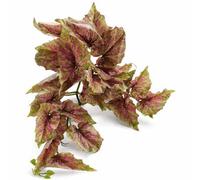 Leaf 30Cm Artificial Trailing Pink And Green Caladium