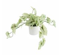 Leaf 30cm Artificial Trailing Plant Variegated Potted Alocasia in Green Leaf Green